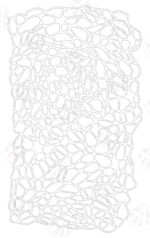 FROGSPAWN CAMO - Camouflage Spray Paint Gun Stencils ADHESIVE Stick-on 2 PACK - Image 9