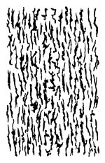 Duck Boat Camouflage Set - Multicam Grass Bark - Image 7