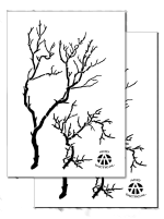 GNARLY BRANCH ? Camouflage Stencils Spray Paint Through ? MYLAR 2 PACK