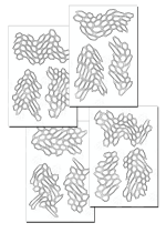 HONEYCOLM ? Camouflage Spray Paint Gun Stencils ADHESIVE Stick-on 4 PACK