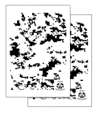 DIGITAL ? Camouflage Stencils Spray Paint Through ? MYLAR 2 PACK