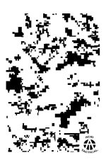 DIGITAL ? Camouflage Stencils Spray Paint Through ? MYLAR 2 PACK - Image 6