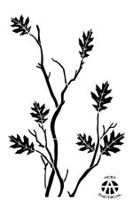 OAK ? Camouflage Stencils Spray Paint Through ? MYLAR 2 PACK - Image 6