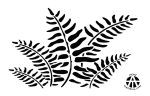 FERN ? Camouflage Stencils Spray Paint Through ? MYLAR 2 PACK - Image 5
