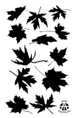 MAPLE - Camouflage Stencils Spray Paint Through ? MYLAR 2 PACK - Image 4
