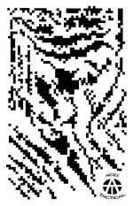 STRIPE DIGITAL ? Camouflage Stencils Spray Paint Through ? MYLAR 2 PACK - Image 3