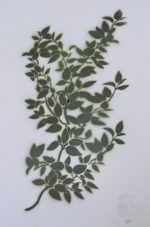 HIGHBUSH B ? Camouflage Stencils Spray Paint Through ? MYLAR 2 PACK - Image 7